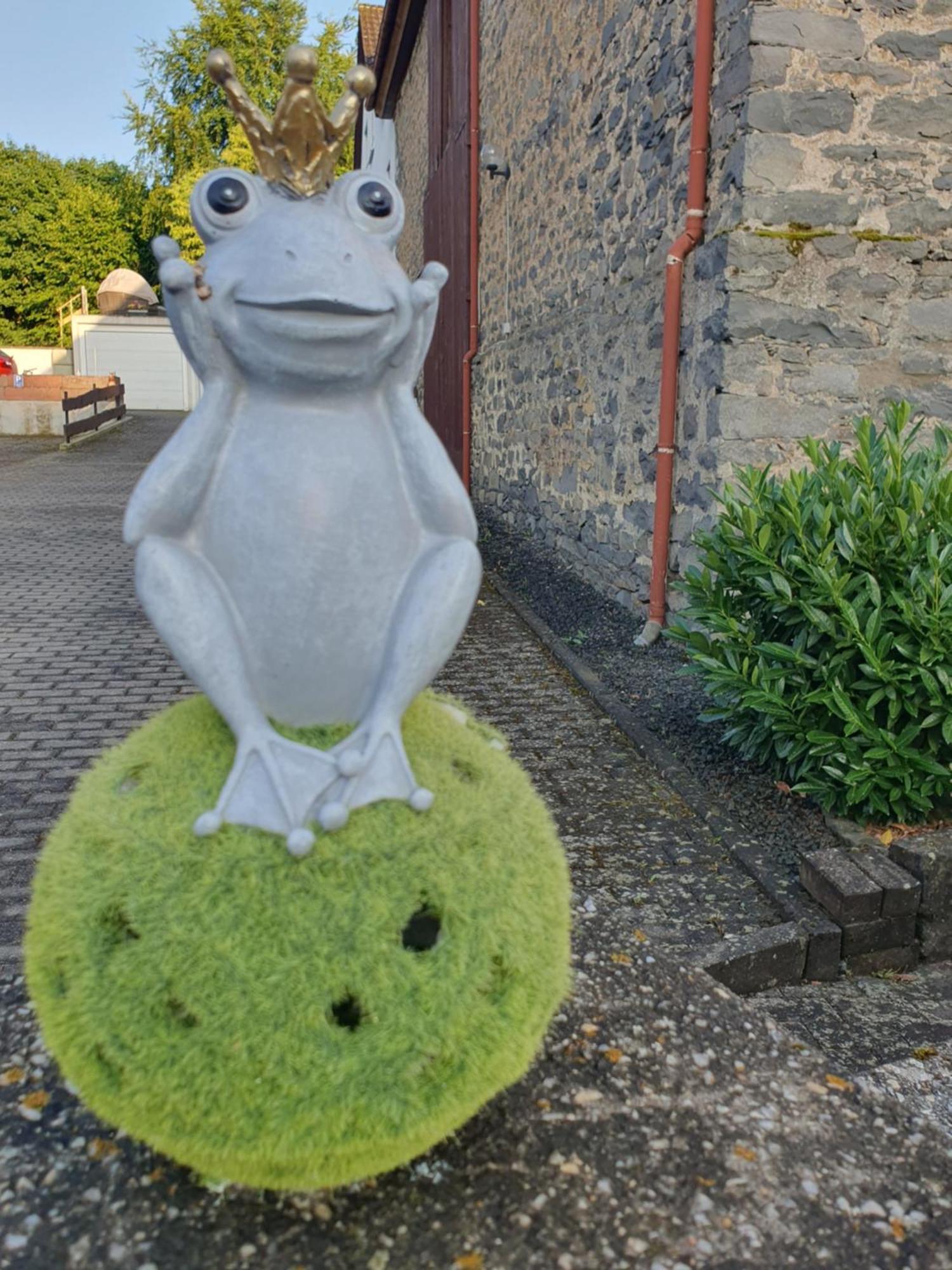 Casa Vogelsberg Leilighet Schotten Eksteriør bilde